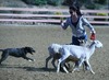 Wendy Schneider Photo 10