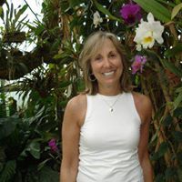 Judy Cohen Photo 19