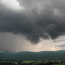Janet Hayes Photo 8