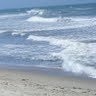 Christine Stephens Photo 18