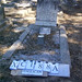 Phillip Sims Photo 19