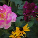Susan Rose Photo 39