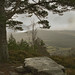 Don Forrest Photo 17