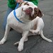 Cindy Bemis Photo 20