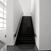 David Blunck Photo 8