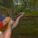 John Laing Photo 23