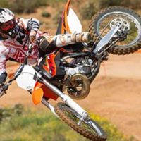 Eddie Robbins Photo 22