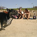 Roy Bruno Photo 14