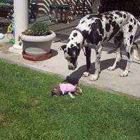 Donna Leavitt Photo 13