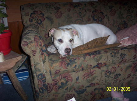 Nancy Robbins Photo 19
