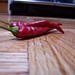 Sarah Hollen Photo 9