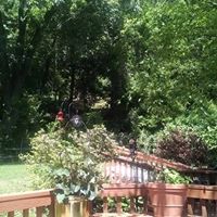 Colleen Gillespie Photo 14