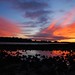 Dawn Phillips Photo 37