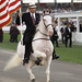 Cindy Dupree Photo 27