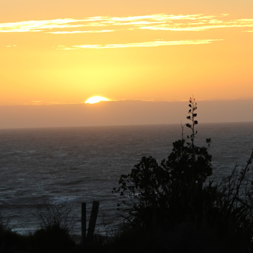 Debbie Stringer Photo 8