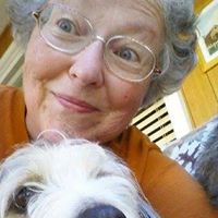Nancy Toth Photo 13
