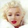 Alice Downey Photo 13