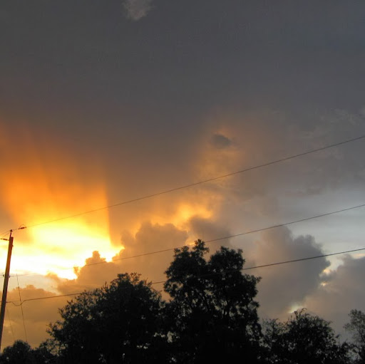 Linda Blevins Photo 6