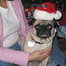 Teresa Bailey Photo 39