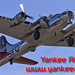 Mark Forman Photo 19