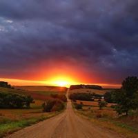 Donna Neff Photo 14