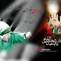 Syed Hussain Photo 52