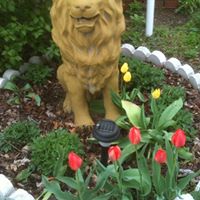 Ruth Ann Photo 28
