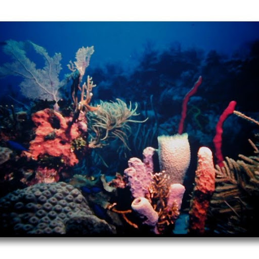 Richard Key Photo 19