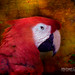 Michael Colyer Photo 29