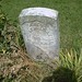 Stephen Coffey Photo 27