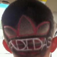 Michael Dichiara Photo 16