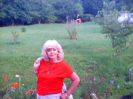 Barbara Collins Photo 9