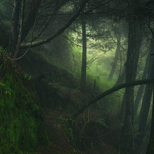 Edward Lowe Photo 48