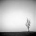 Yu Fu Photo 16
