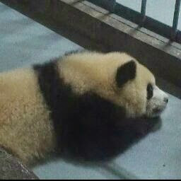 William Xing Photo 14