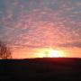 Lorie Robinson Photo 19