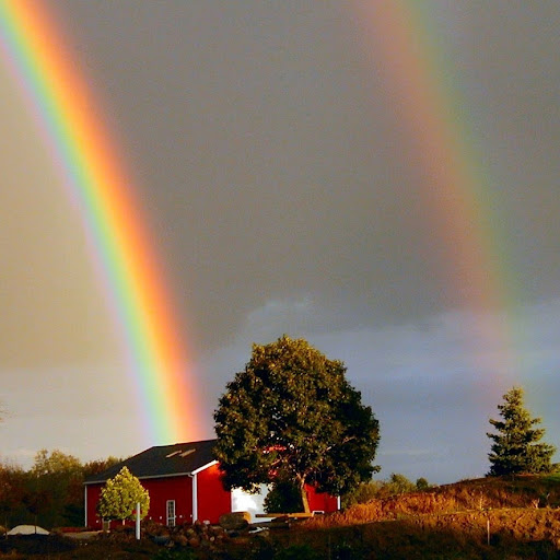 Eugene Webb Photo 39