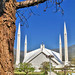 Muhammad Faisal Photo 22