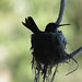 Jeanette Hatch Photo 14