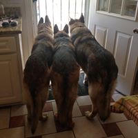 Cheryl Lyons Photo 21