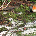 Robin Matlock Photo 22
