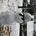 Carla Needham Photo 11