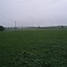 Nicholas Hutton Photo 7