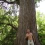 David Barton Photo 49