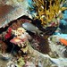 Angelo Macchia Photo 22