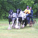Jeff Marshall Photo 30