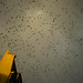 Paul Starling Photo 26