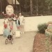 Nancy Dyer Photo 7