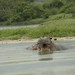 Elizabeth Wild Photo 17