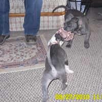 Brian Kinnaird Photo 7